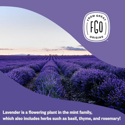 Organic Dried Lavender Flowers, Extra Grade Dried Buds, Imported from France for Culinary or Sachet Bags, 4Oz, Packaging May Vary (Pack of 1)
